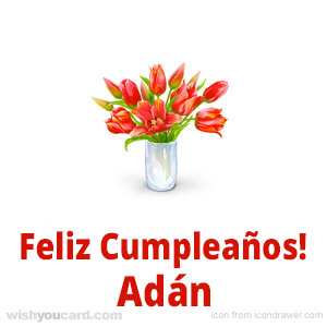 happy birthday Adán bouquet card