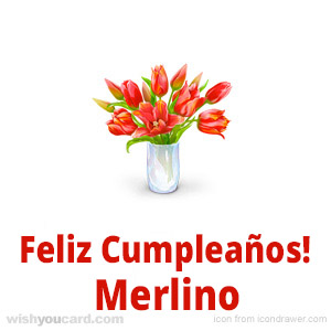 happy birthday Merlino bouquet card