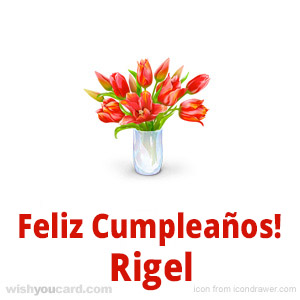 happy birthday Rigel bouquet card