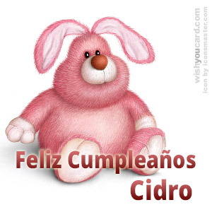 happy birthday Cidro rabbit card