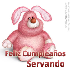 happy birthday Servando rabbit card