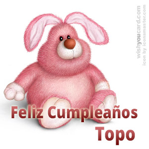 happy birthday Topo rabbit card