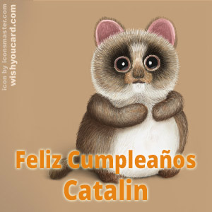 happy birthday Catalin racoon card