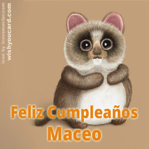 happy birthday Maceo racoon card